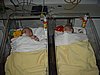 DSC05422.JPG