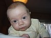 DSC05522.JPG