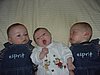 DSC06026.JPG