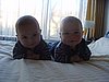 DSC06028.JPG